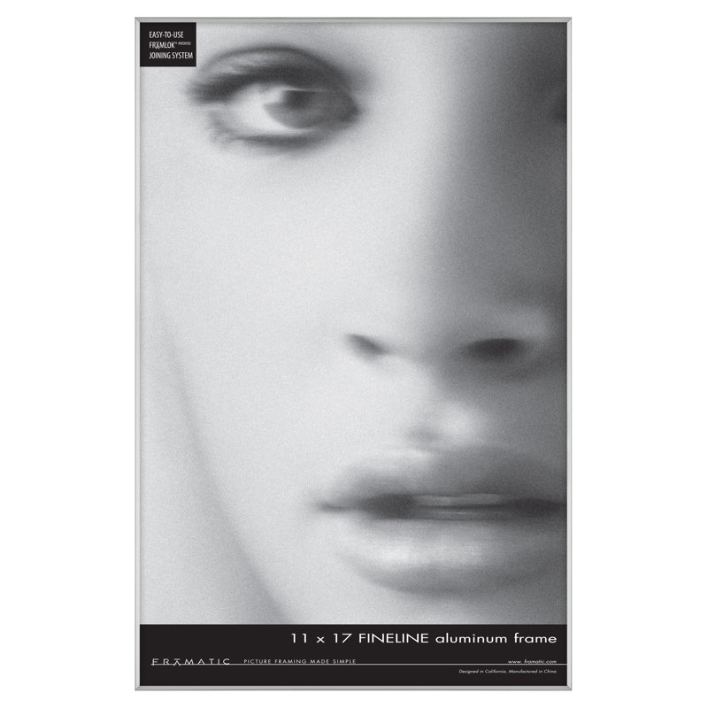 Fineline Picture Frame, Silver, 16" x 20"