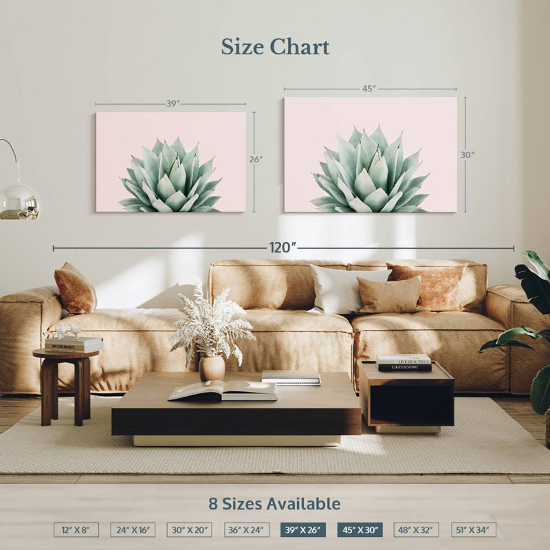 Agave Harnek Blush, H 26 po x l 39 po