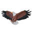 Sculpture murale American Eagle