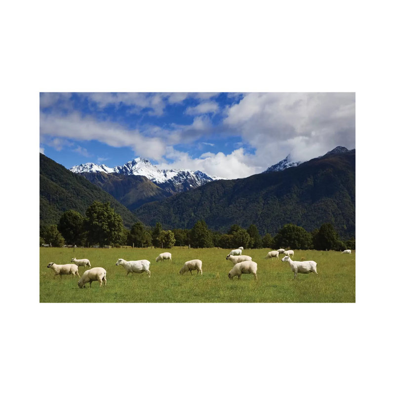 New Zealand, South Island by Jaynes Gallery - Wrapped Canvas Gallery-Wrapped Canvas Giclée, 66.04cm H x 101.6cm W