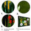«Blossoming and Vibrant Jungle Flora V», reproduction sur toile-87382812-87382807