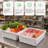 Meat lug 6 pack 20 x 15 x 7 inch 9 gallon white food grade plastic bus tubs with lids heavy duty utility container for dishwashing kitchen prep restaurant catering storage