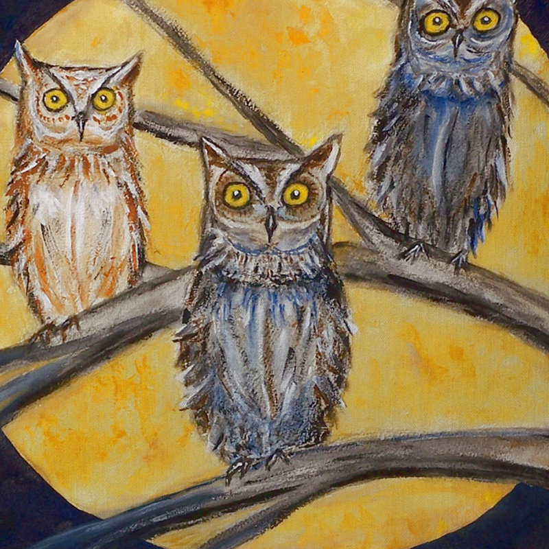 Coussin extérieur Night Owls, Petit