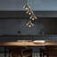 Morrisville 4 - Light Cluster Pendant