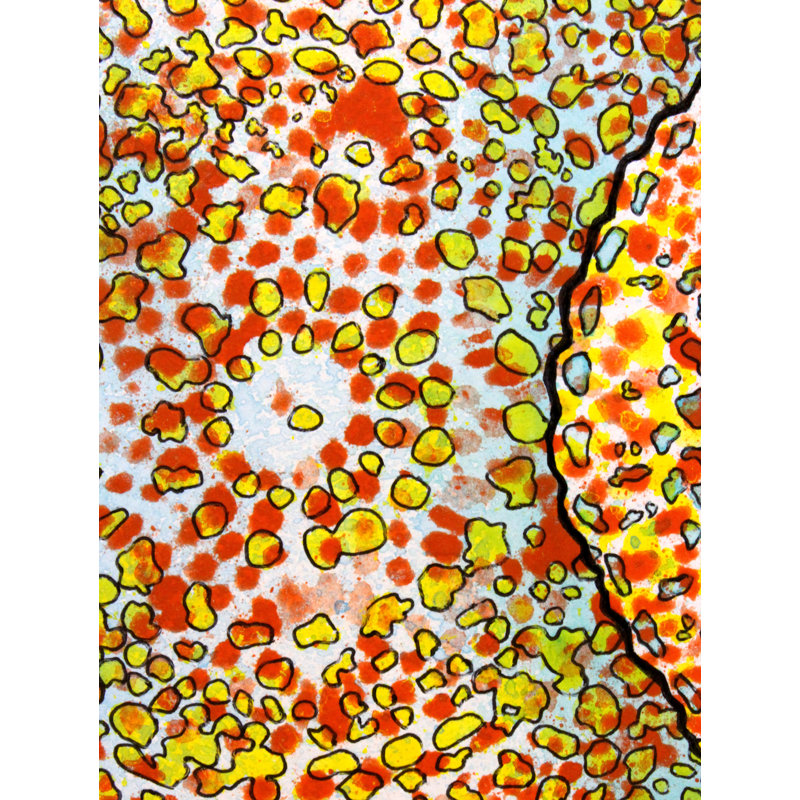 2, Inset D Print by Katie Schutte, 17.25" H x 21.25" W