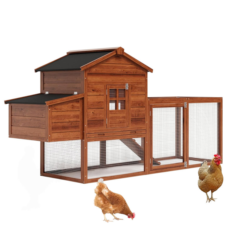 Chicken Coop