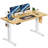 Jakyb Standing & Height-Adjustable Desks-1127193371-1127193352