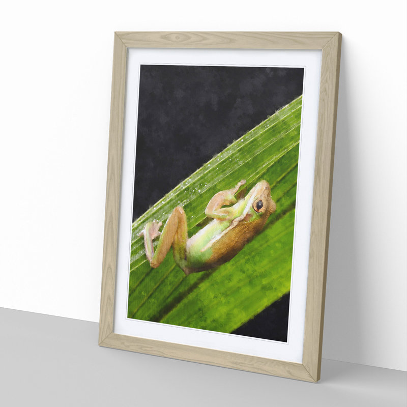 Frog Vol.1 - Framed Print, Oak Framed, 36cm H x 27cm W x 2cm D