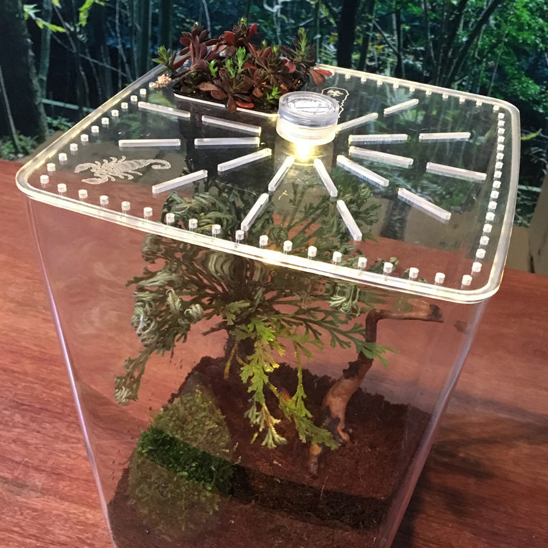 Cage de terrarium en acrylique reptile