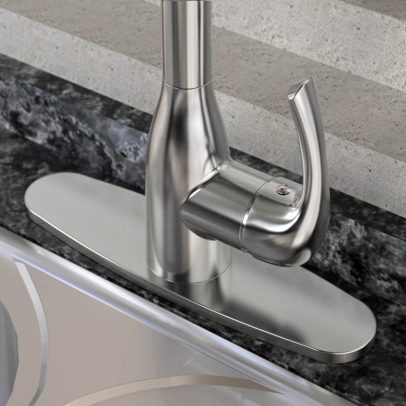 RoomTec Pull Down Kitchen Faucet