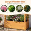 1 lit de jardin surélevé 60 po avec treillis avec toit suspendu PCS, 2 treillis latéraux pour fleur-123351083