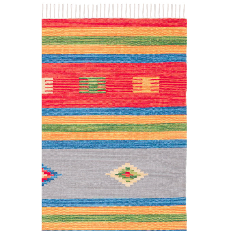 Barhorst Hand Woven Cotton Southwestern Rug, Rectangle 8' x 10'