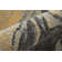 Milania Abstract Indoor Rug