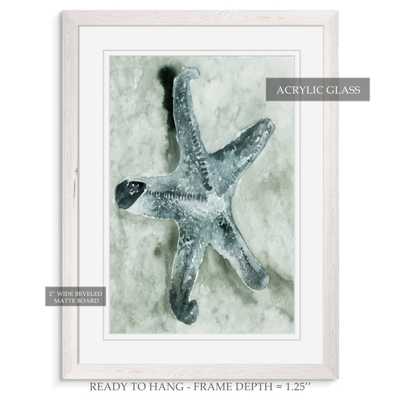Aquatic i, reproduction d’art encadrée, H 28 po x l 38 po x P 1,3 po, Imprimé encadré blanc