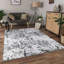 Santangelo Abstract Area Rug-2089732783