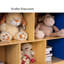 Kingstree 76 cm H x 120 cm W Standard Bookcase