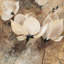 «Magnolia II» par Yuliya Volynets, reproduction sur toile-29483671-71536345