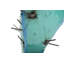 BA7DCFCEAEF248A2B20FA9ECE9D03EBD-1483144811-1483144821