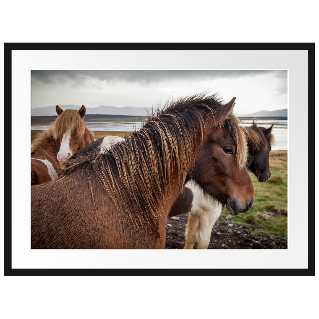 Gerahmtes Poster Herde aus schönen Wildpferden