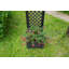 Aalisha Plastic Outdoor Planter Box-15783879-23538680