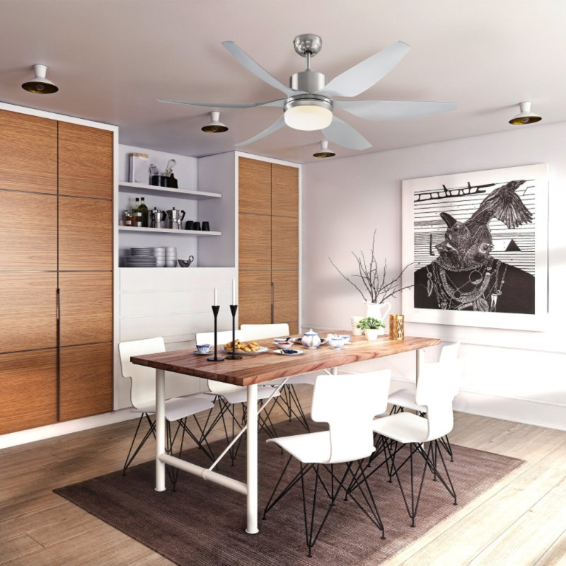 Ceiling Fan