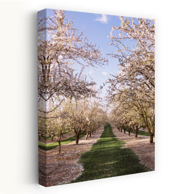 Almond Trees In An Orchard Central Valley California Usa Abstract Contemporary Landscape Nature Art