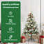 Christmas Tree-543153510