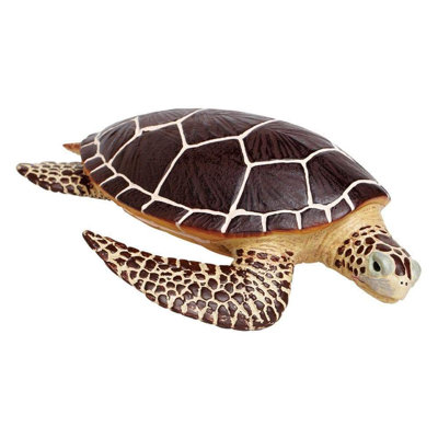 Tortue de mer