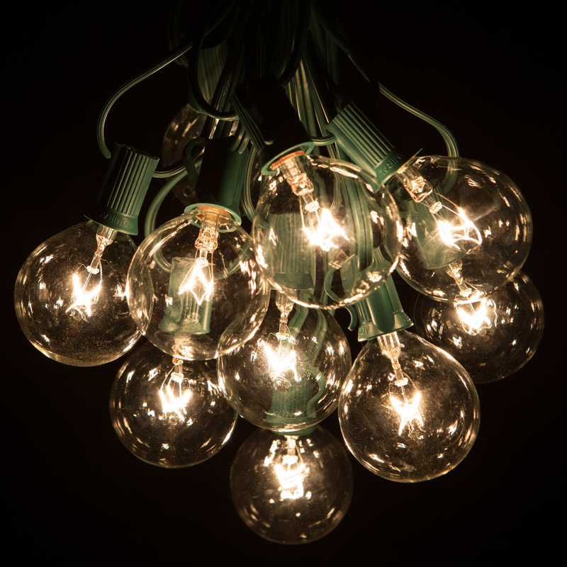 Renfro Outdoor 25 - Bulb 25'' Plug-in Globe String Light, Green
