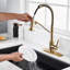 Blue Elephant Pull Down Kitchen Faucet-446957301