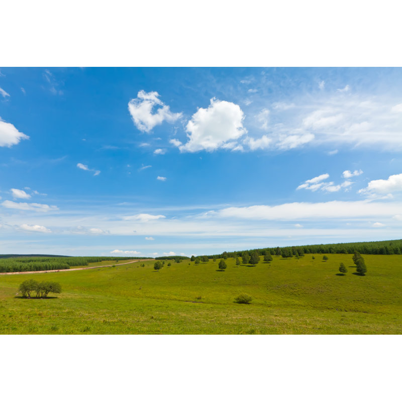 Grassland landscape 1 Piece Wrapped Canvas Wall Art, 81cm H x 122cm W
