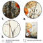 Rustic Reflections sur impression sur toile-1180910500-1180910501