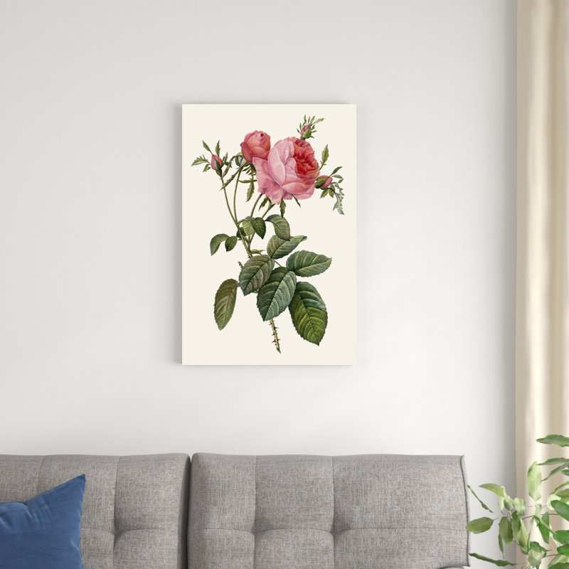 «Redoute's Rose II», peinture sur toile, H 30 po x l 20 po
