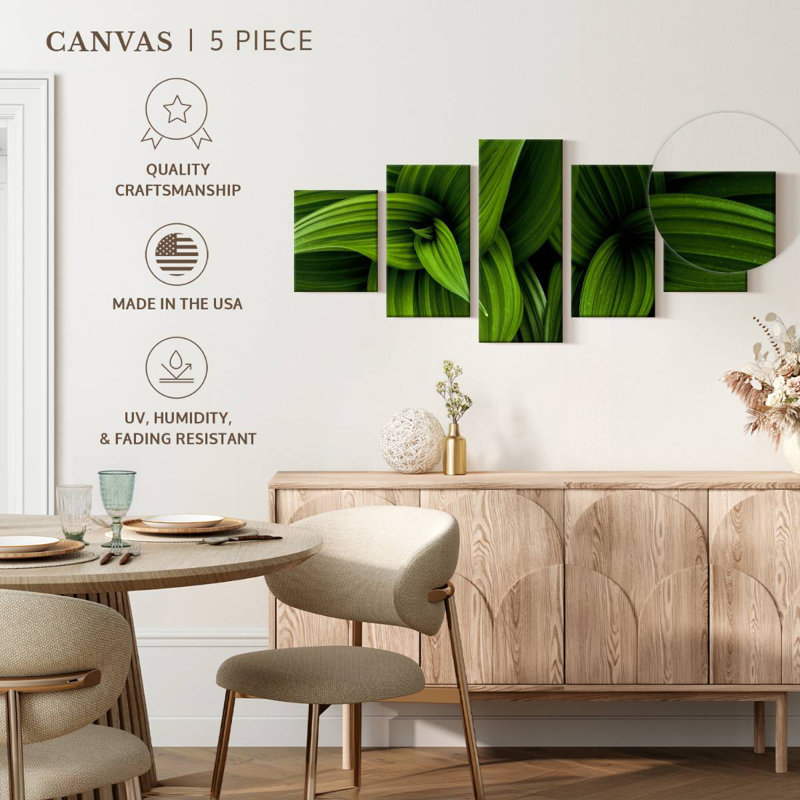 Green False Hellebore, 24" H x 55" W