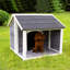 Buck Wood Dog House