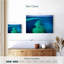 Gillard Great Barrier Reef Seascape-107684921