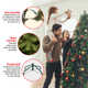 The Holiday Aisle® Dunhill Fir Tree with Clear Lights