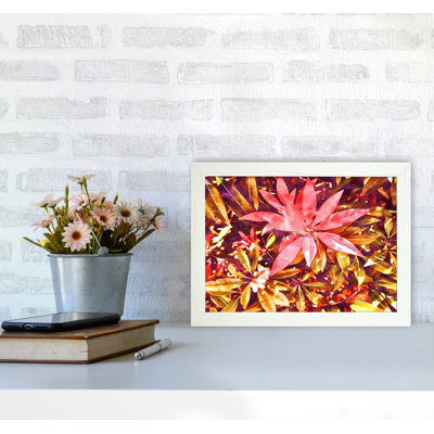 Autumnal Flowers - Print on Canvas