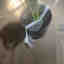 Customer photo 2 of 5