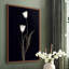 Tulipe Pose II, reproduction encadrée - bois massif-39153951-39153949