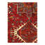 Imeria Oriental Area Rug in Rust