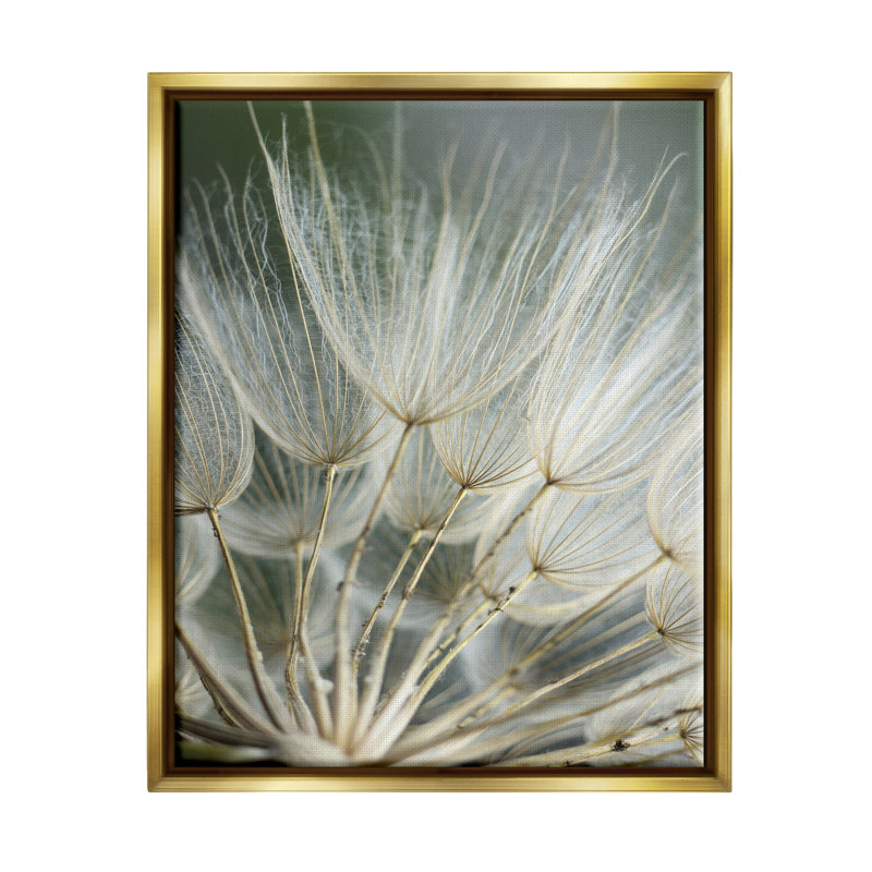 Photographie de pissenlit doux, H 21 po x l 17 po x P 1,7 po, Cadre flottant métallique doré