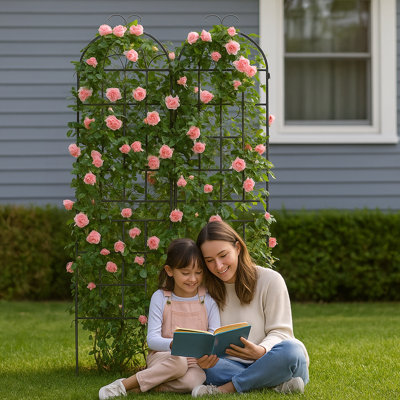 Treillis de jardin en métal durable, paquet de 2 pour plantes grimpantes, idéal pour une utilisation intérieure / extérieure et rehaussant l'esthétique du jardin