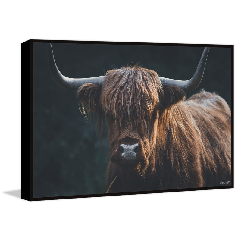 «Thick Horns» par Marmont Hill, reproduction sur toile, L 18 po x H 12 po, Toile avec cadre flottant noir, Aucun mat