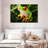 Brampt Tree Frog-107850620
