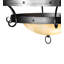 12 - Light Chandelier