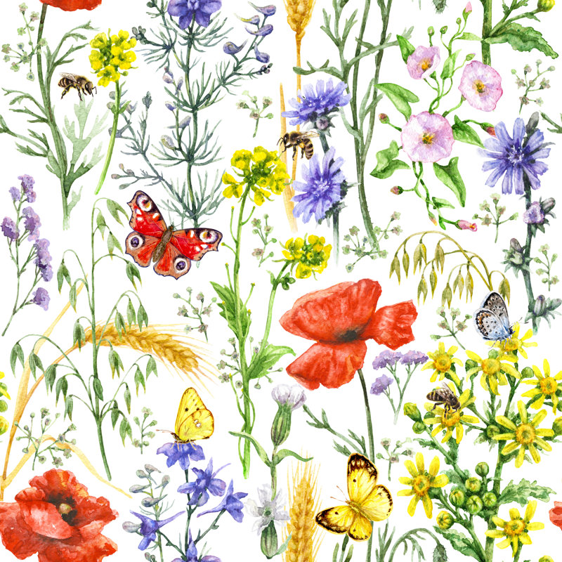 Adetoun, fleurs sauvages et insectes sur toile, impression, H 12 po x l 12 po x P 1,25 po