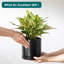 FLHPOT Ceramic Pot Planter