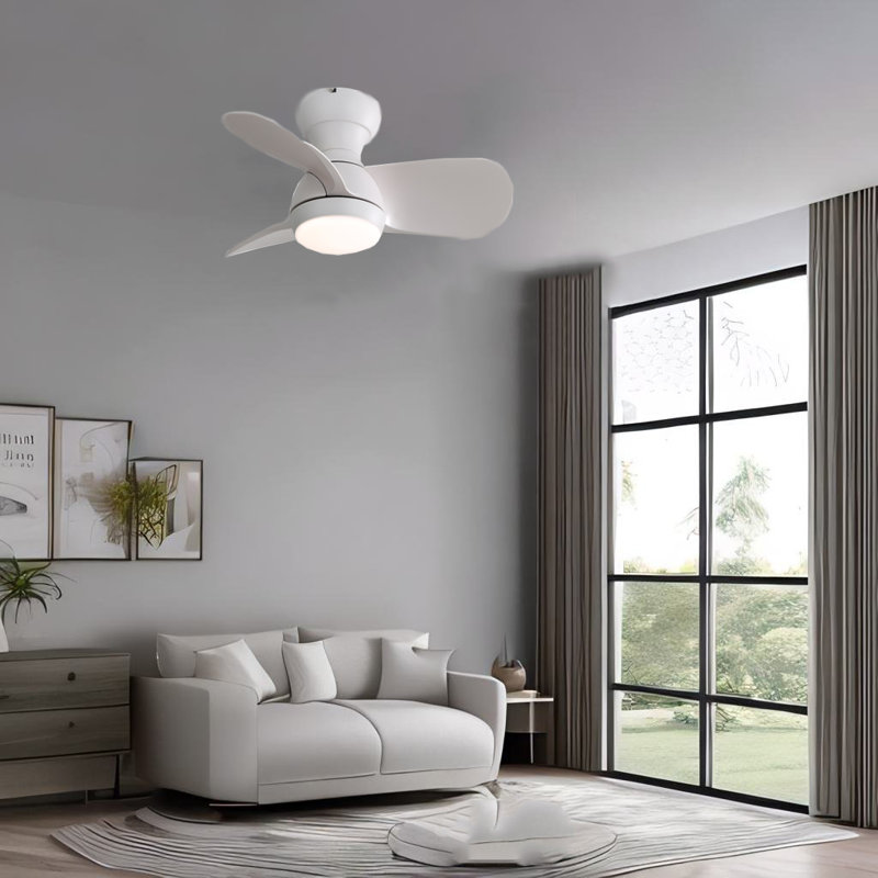 Kathen 23'' Ceiling Fan with LED Lights, White