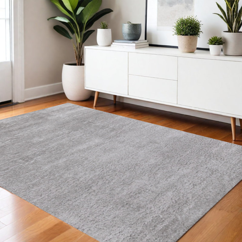 Tapis gris 4 pi x 6 pi